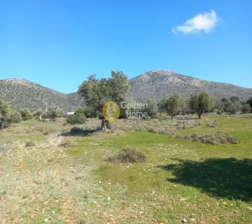 Parcel 3000m<sup>2</sup> for sale photo 4107778