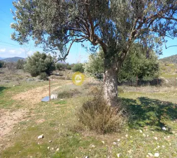Parcel 3000m<sup>2</sup> for sale photo 4107778