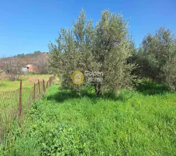 住宅 953m<sup>2</sup> for sale photo 4114115