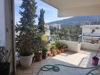 Apartment 159m<sup>2</sup> for sale photo 4