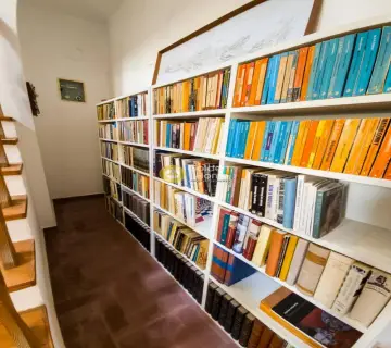 Μονοκατοικία 375τ.μ. προς πώληση φωτογραφία 13