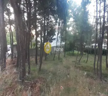 Οικιστικό 830τ.μ. προς πώληση φωτογραφία 4241475