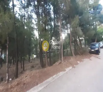 Οικιστικό 830τ.μ. προς πώληση φωτογραφία 4241476