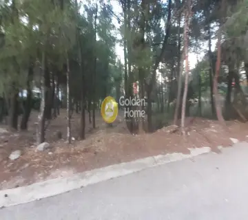 Οικιστικό 830τ.μ. προς πώληση φωτογραφία 4241480