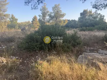 Οικιστικό 1014τ.μ. προς πώληση φωτογραφία 2