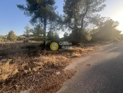 Οικιστικό 1014τ.μ. προς πώληση φωτογραφία 3