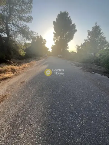 Οικιστικό 1014τ.μ. προς πώληση φωτογραφία 4