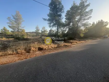 Οικιστικό 1014τ.μ. προς πώληση φωτογραφία 5