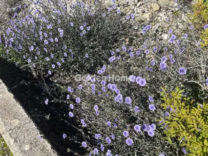 Οικιστικό 1014τ.μ. προς πώληση φωτογραφία 6