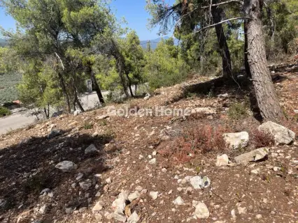 Οικιστικό 1014τ.μ. προς πώληση φωτογραφία 10