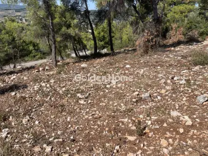 Οικιστικό 1014τ.μ. προς πώληση φωτογραφία 11