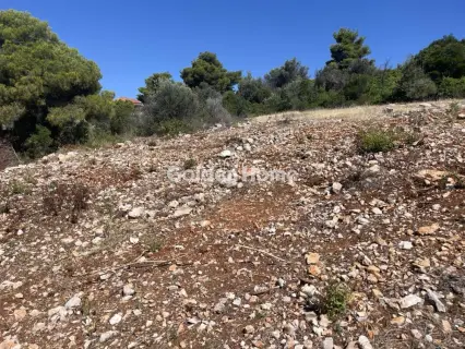 Οικιστικό 1014τ.μ. προς πώληση φωτογραφία 12