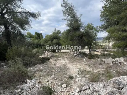 Οικιστικό 1014τ.μ. προς πώληση φωτογραφία 5319360