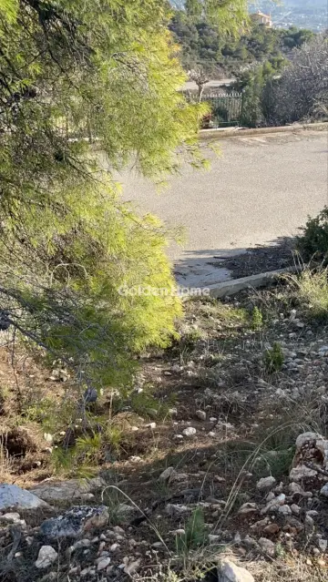 Οικιστικό 1014τ.μ. προς πώληση φωτογραφία 16