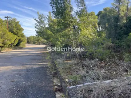 Οικιστικό 1014τ.μ. προς πώληση φωτογραφία 17