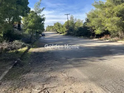 Οικιστικό 1014τ.μ. προς πώληση φωτογραφία 19