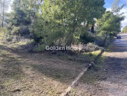 Οικιστικό 1014τ.μ. προς πώληση φωτογραφία 20