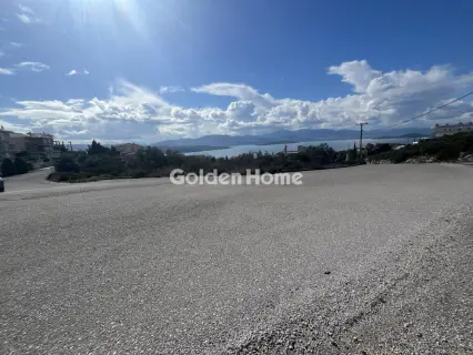 Οικιστικό 1072τ.μ. προς πώληση φωτογραφία 4