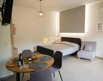Apartment 30m<sup>2</sup> for rent photo 4119633