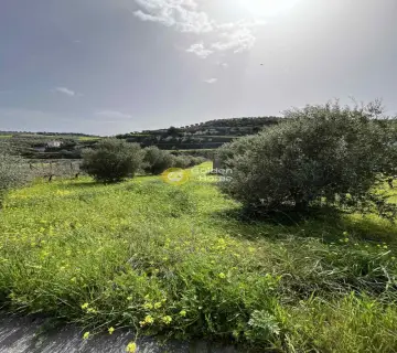 Residential 3250m<sup>2</sup> for sale photo 8