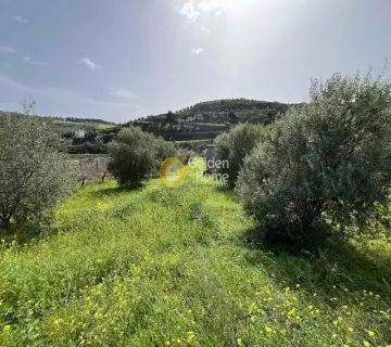 Residential 3250m<sup>2</sup> for sale photo 7