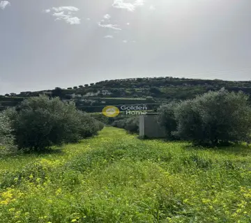 Residential 3250m<sup>2</sup> for sale photo 5