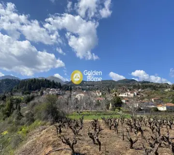 Golden Home Property Image