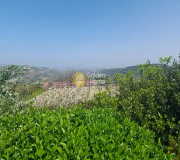 Area 6500m<sup>2</sup> for sale photo 9