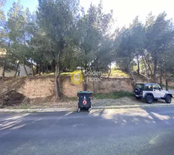 Residential 788m<sup>2</sup> for sale photo 2
