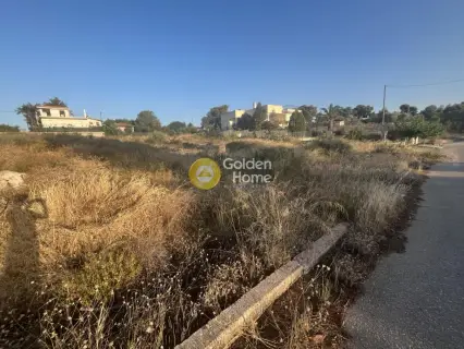 Οικιστικό 1043τ.μ. προς πώληση φωτογραφία 5