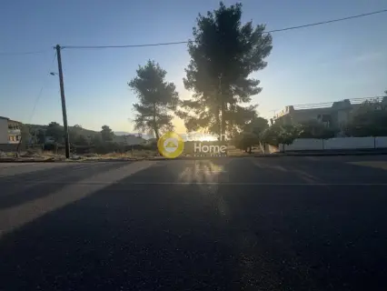 Οικιστικό 1043τ.μ. προς πώληση φωτογραφία 6