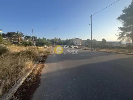 Οικιστικό 1043τ.μ. προς πώληση φωτογραφία 4