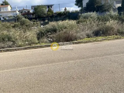 Οικιστικό 1043τ.μ. προς πώληση φωτογραφία 9