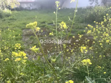 Residential 1043m<sup>2</sup> for sale photo 5319335