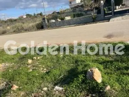 Οικιστικό 1043τ.μ. προς πώληση φωτογραφία 5319346