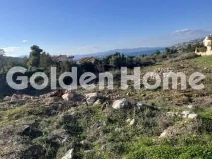 Οικιστικό 1043τ.μ. προς πώληση φωτογραφία 5319349
