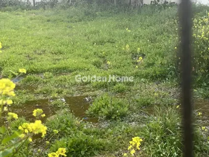 Residential 1043m<sup>2</sup> for sale photo 7