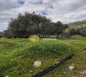 Parcel 5026m<sup>2</sup> for sale photo 4124558