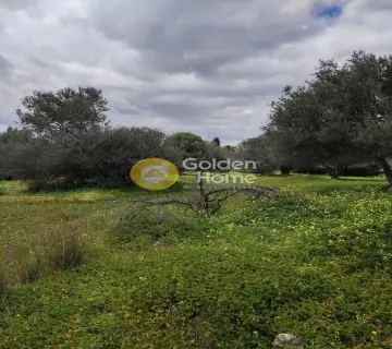 Parcel 5026m<sup>2</sup> for sale photo 4124558
