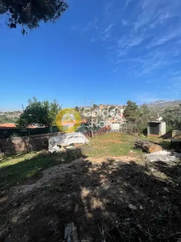 Residential 265m<sup>2</sup> for sale photo 4