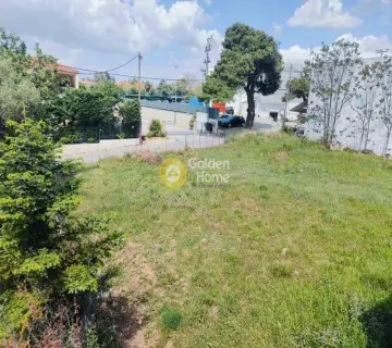 Residential 827m<sup>2</sup> for sale photo 5