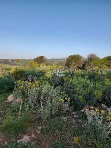 Οικιστικό 9558τ.μ. προς πώληση φωτογραφία 2