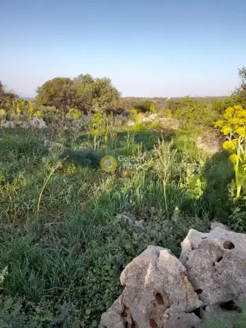 Οικιστικό 9558τ.μ. προς πώληση φωτογραφία 10