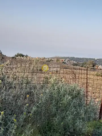 Οικιστικό 9558τ.μ. προς πώληση φωτογραφία 12