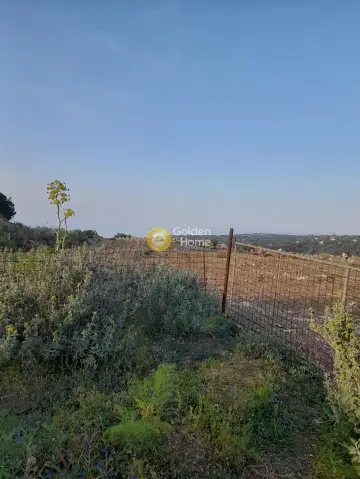 Οικιστικό 9558τ.μ. προς πώληση φωτογραφία 14