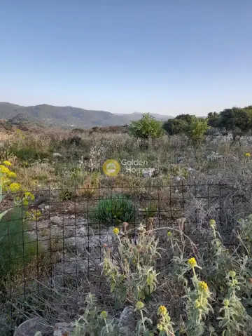 Οικιστικό 9558τ.μ. προς πώληση φωτογραφία 15