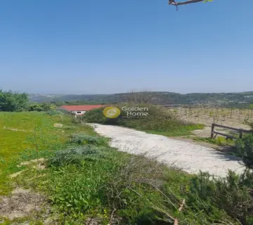 House 6500m<sup>2</sup> for sale photo 4139380