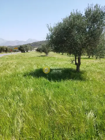 Professional Plot 7052m<sup>2</sup> for sale photo 3
