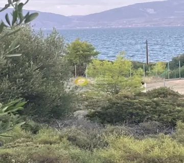 Οικιστικό 1050τ.μ. προς πώληση φωτογραφία 4458338