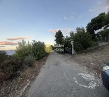 Οικιστικό 1050τ.μ. προς πώληση φωτογραφία 4458340
